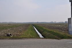 Afbeelding invoegen